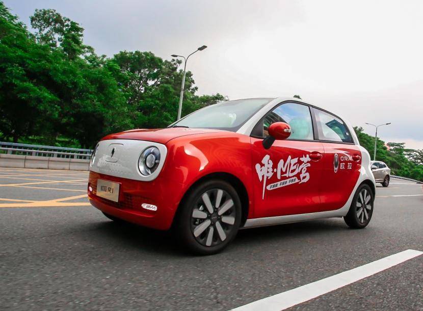 最新福利直播視頻，勵志力量助力學(xué)習(xí)成長，自信成就一路向前