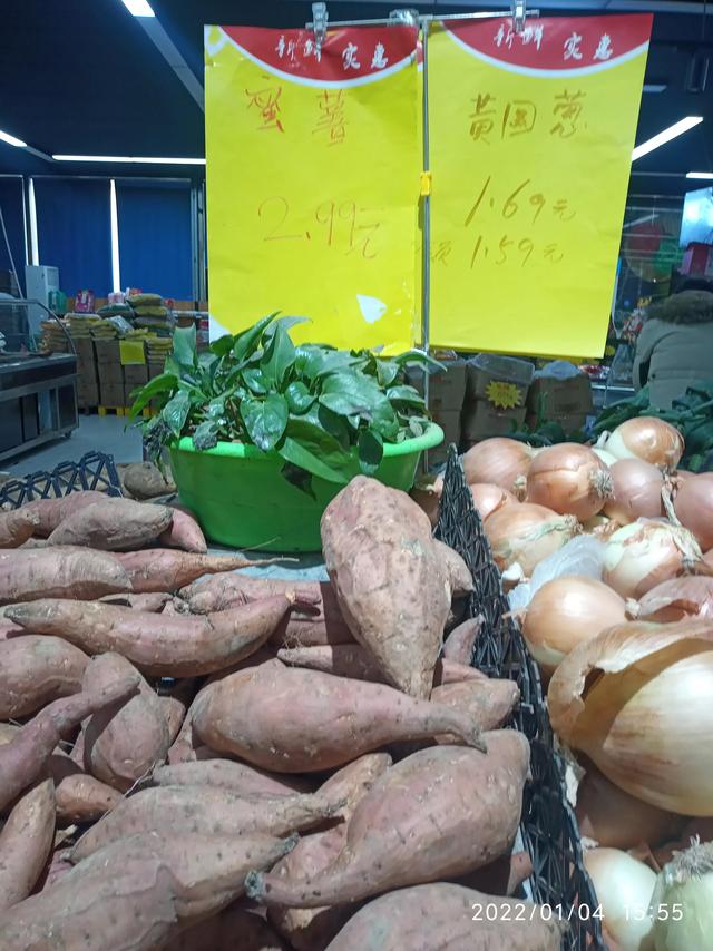 最新地瓜價(jià)格解析，查詢指南與任務(wù)攻略