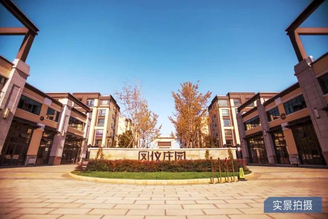 鳳儀莊園最新動態(tài)，家的溫馨與友情的綻放時刻