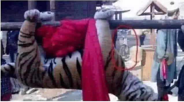 最新打虎消息，探尋內(nèi)心平靜的打虎之旅