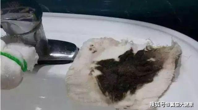 揭秘水污染真相，小杰的河流探索之旅——溫馨河流的秘密揭秘視頻
