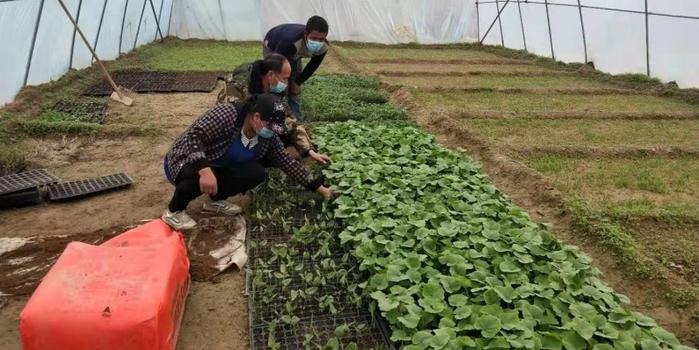 策勒最新招聘啟航人才新篇章，學(xué)習(xí)變化，擁抱自信與成就，啟程人生新征程！
