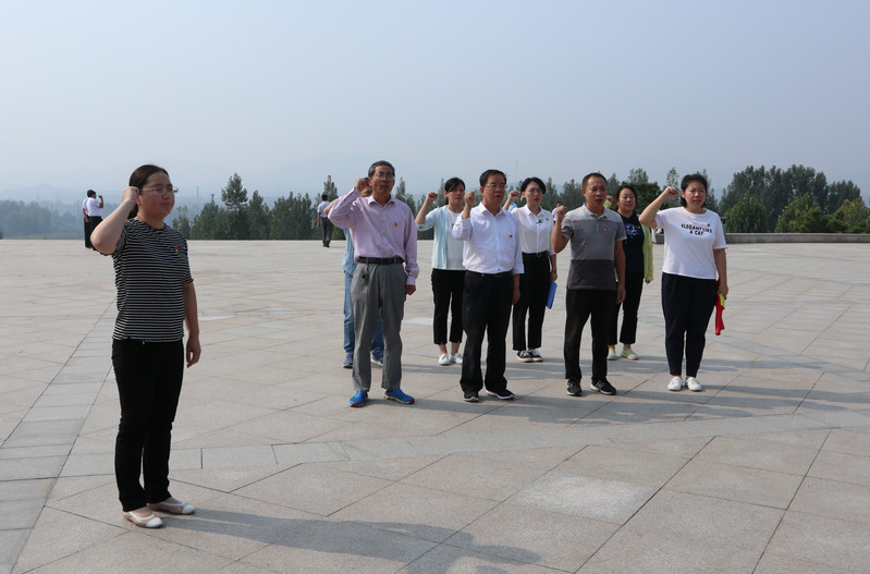 肥城房產(chǎn)最新動(dòng)態(tài)，市場(chǎng)走勢(shì)、熱門區(qū)域與案例分析