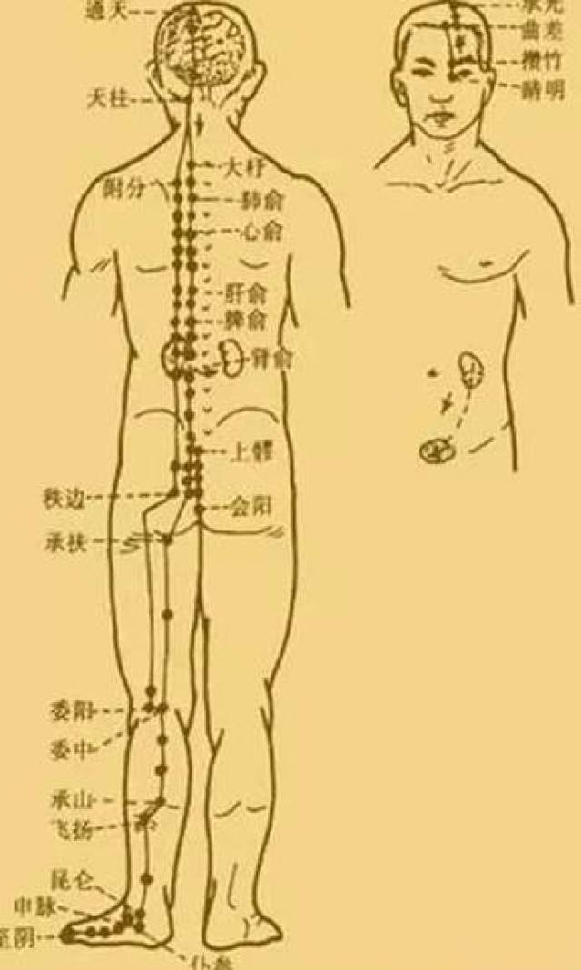 最新經(jīng)絡(luò)操，探索古老奧秘，重塑健康身姿