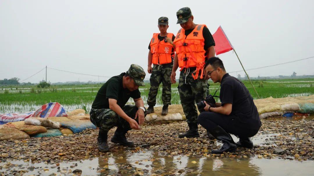 永修最新聞，背景探尋與時代地位的重要事件回顧