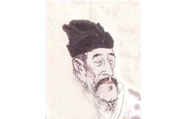 最新孤雁圖片，展現(xiàn)自然之美與深意的瞬間