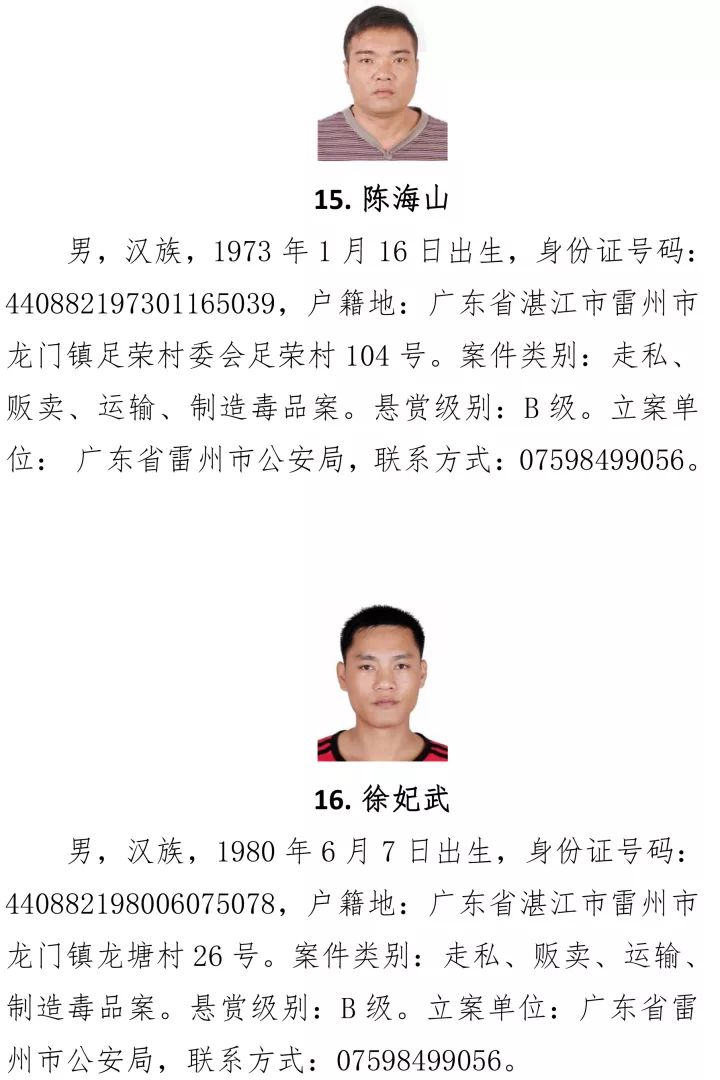 最新湛江人，掌握新技能與任務(wù)完成步驟指南