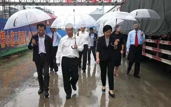 最新金丹科技引領科技新潮流，開啟未來之門！