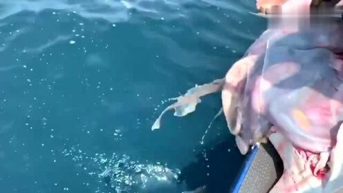 最新魚人流技術革命，高科技產品重塑未來生活體驗