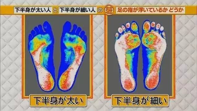 最新地趾論述，探索、爭議與觀點綜述