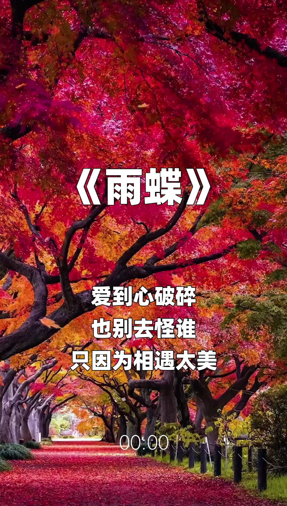 雨蝶最新步驟指南，如何完成任務或?qū)W習技能？