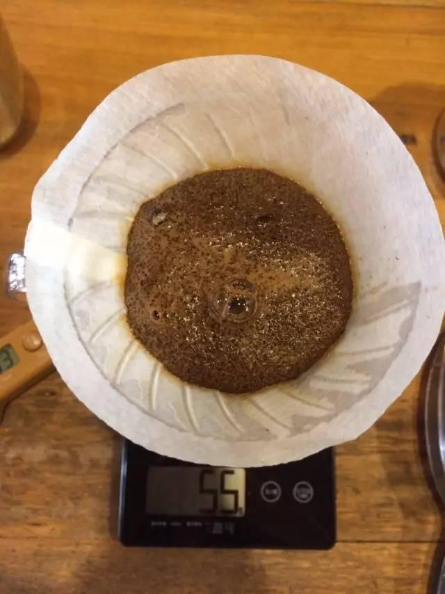 最新萃取法詳解，步驟指南與操作技巧