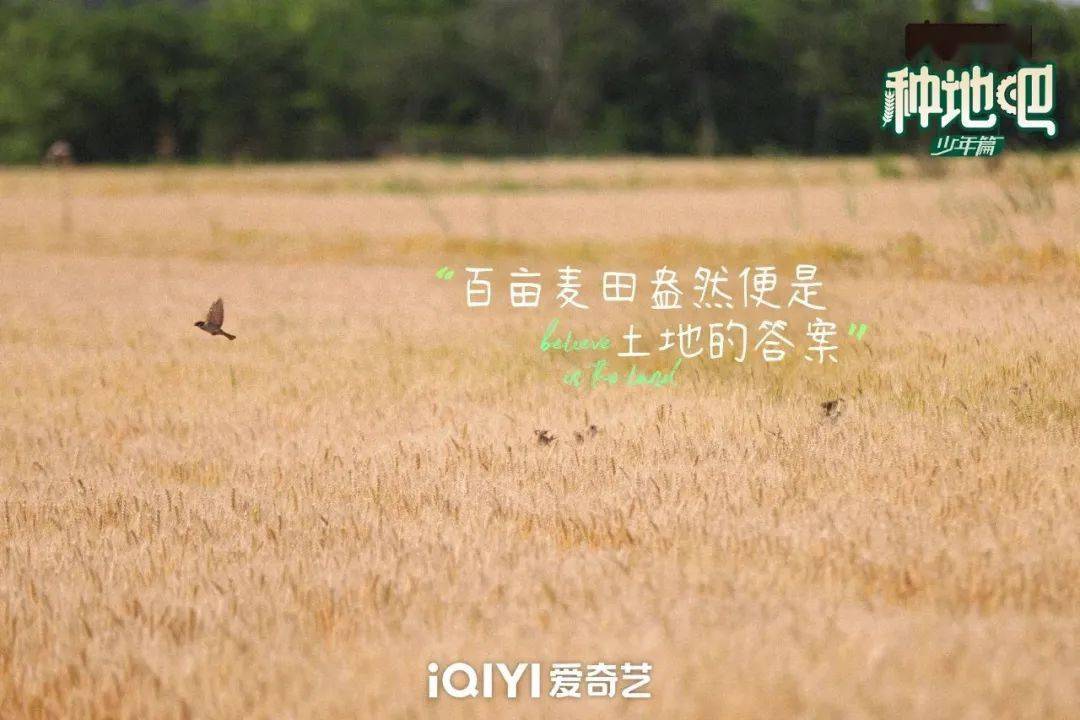 種地吧最新語錄，探索未來農(nóng)業(yè)的高科技魅力