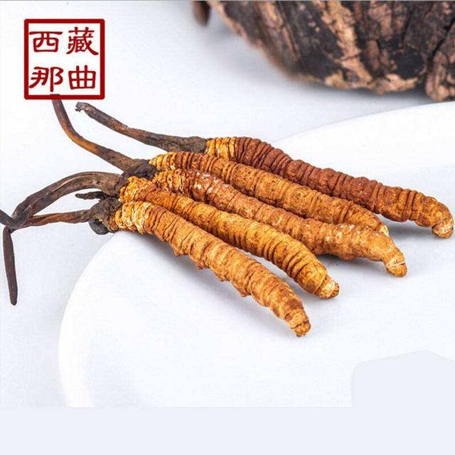 揭秘2025年蟲草最新價格，探尋小巷中的秘密行情！