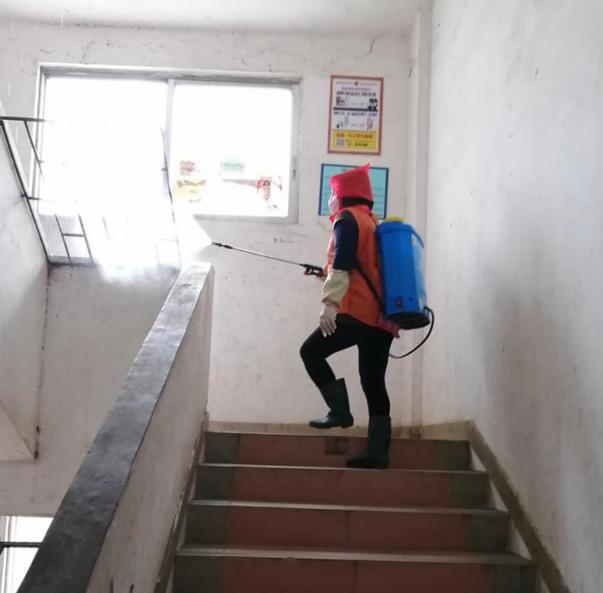 蓬江區(qū)最新高科技住宅，重塑未來生活體驗的首選之地