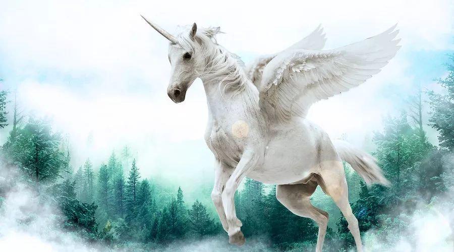 中國最新獨角獸，自信與成就感的源泉